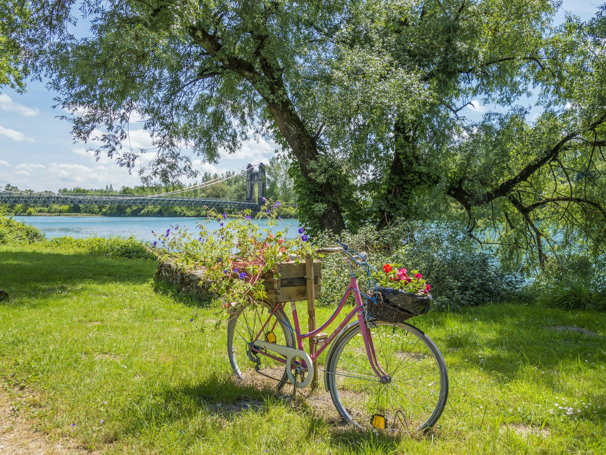 Bicicleta vintage rosa com flores em um cenário natural e sereno